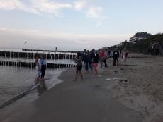 Grupa dzieci i opiekunów spaceruje po plaży mocząc swoje stopy w morzu
